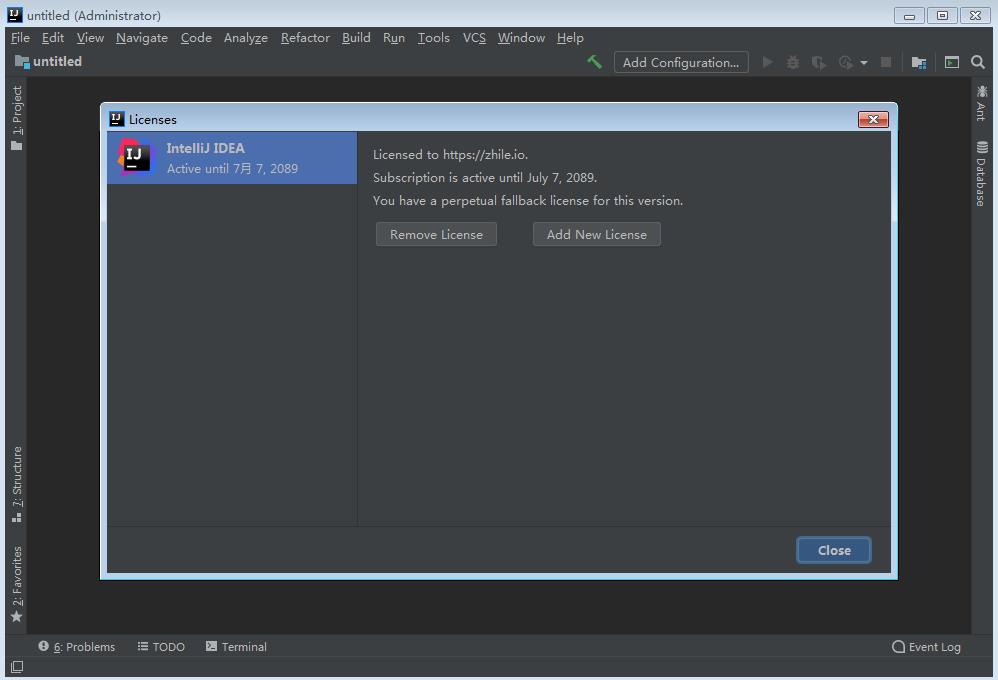 IntelliJ IDEA2020.2.4 IDEA2020.2.4中文版