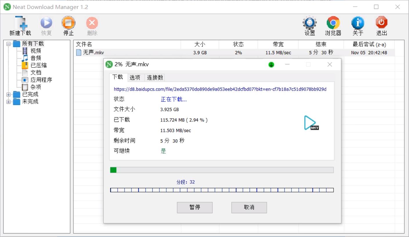 Neat Download Manager1.2 NeatDM1.2汉化中文版