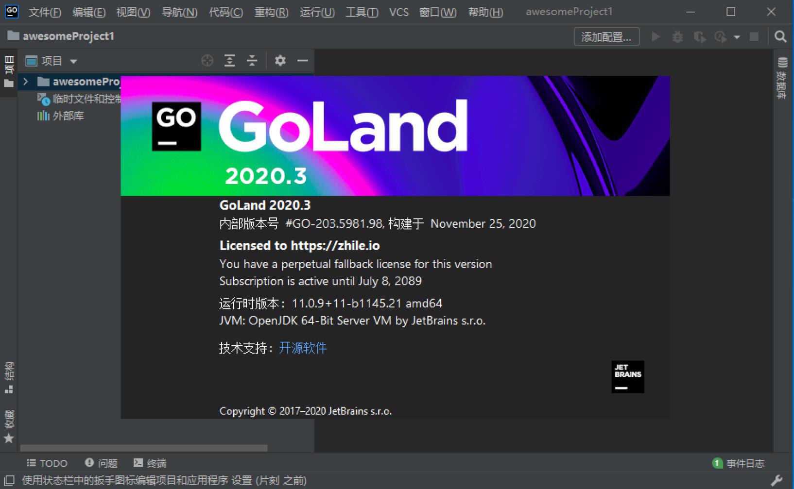 GoLand2020.3 GoLand2020.2免费版