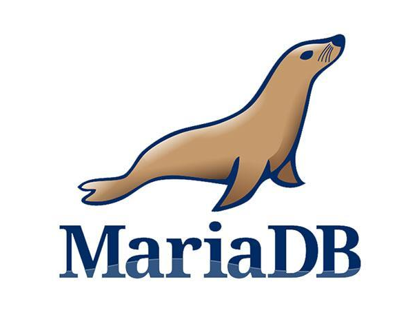 MariaDB10.5.8 MariaDB 10.5.8 32位
